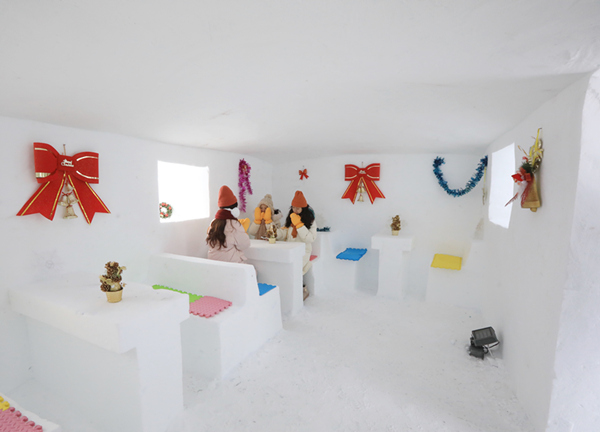 漠河北极村宾馆住宿价格,漠河冰雪旅馆视频