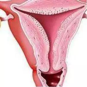 最有营养的芝士,一生中最好的芝士