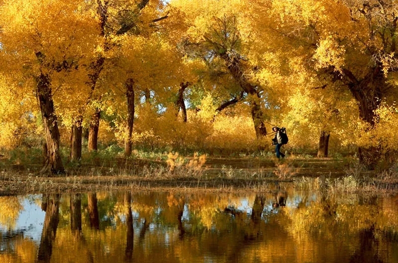 阿拉善盟免费景点,阿拉善盟定远营旅游景区