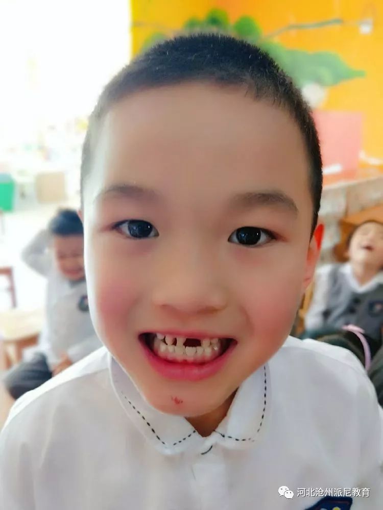 身体大揭秘动画,身体大揭秘