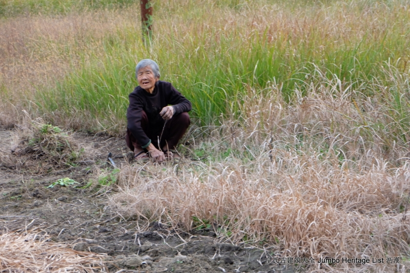 第1183回：有一口气点一盏灯，恋恋不忘必有回响
