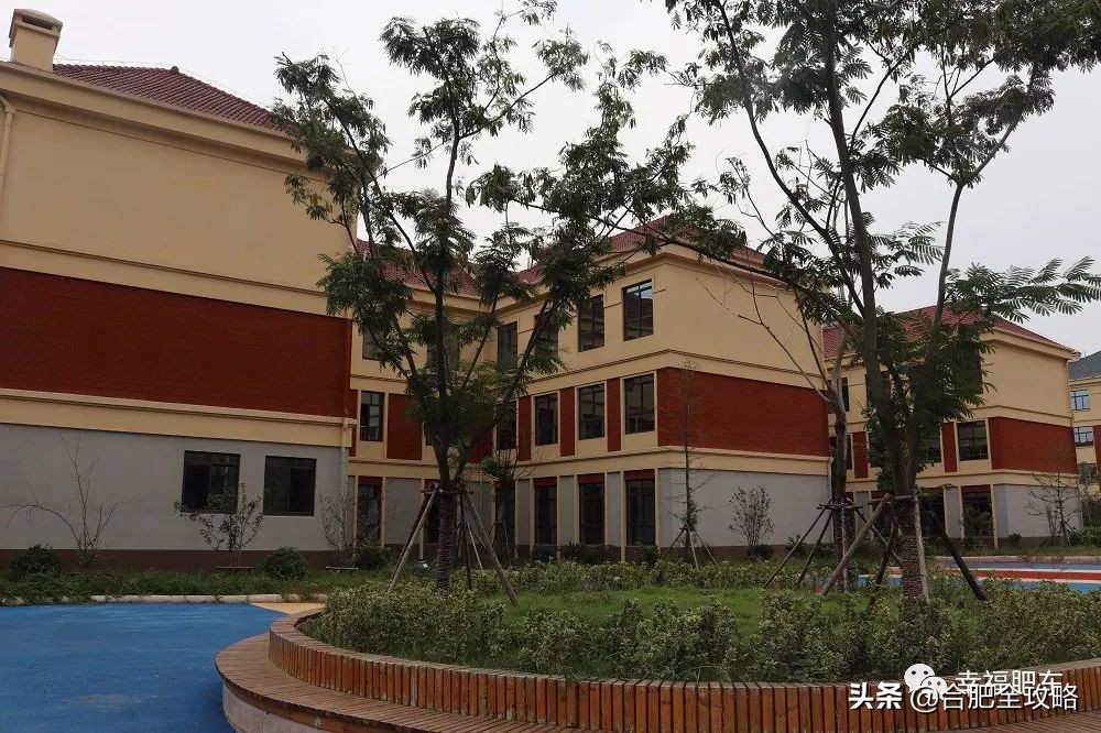 合肥市开学,合肥各校开学时间