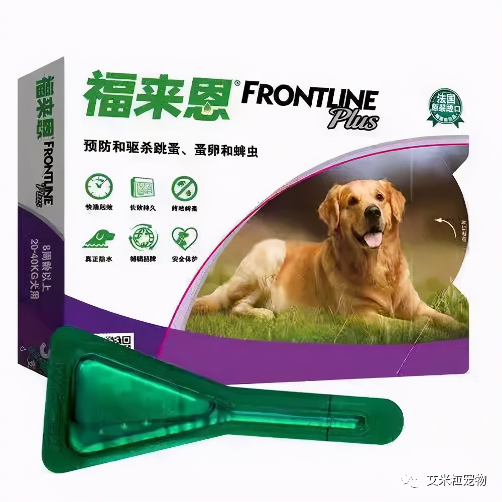 猫咪内驱虫的正确方法,狗狗驱虫和猫咪驱虫