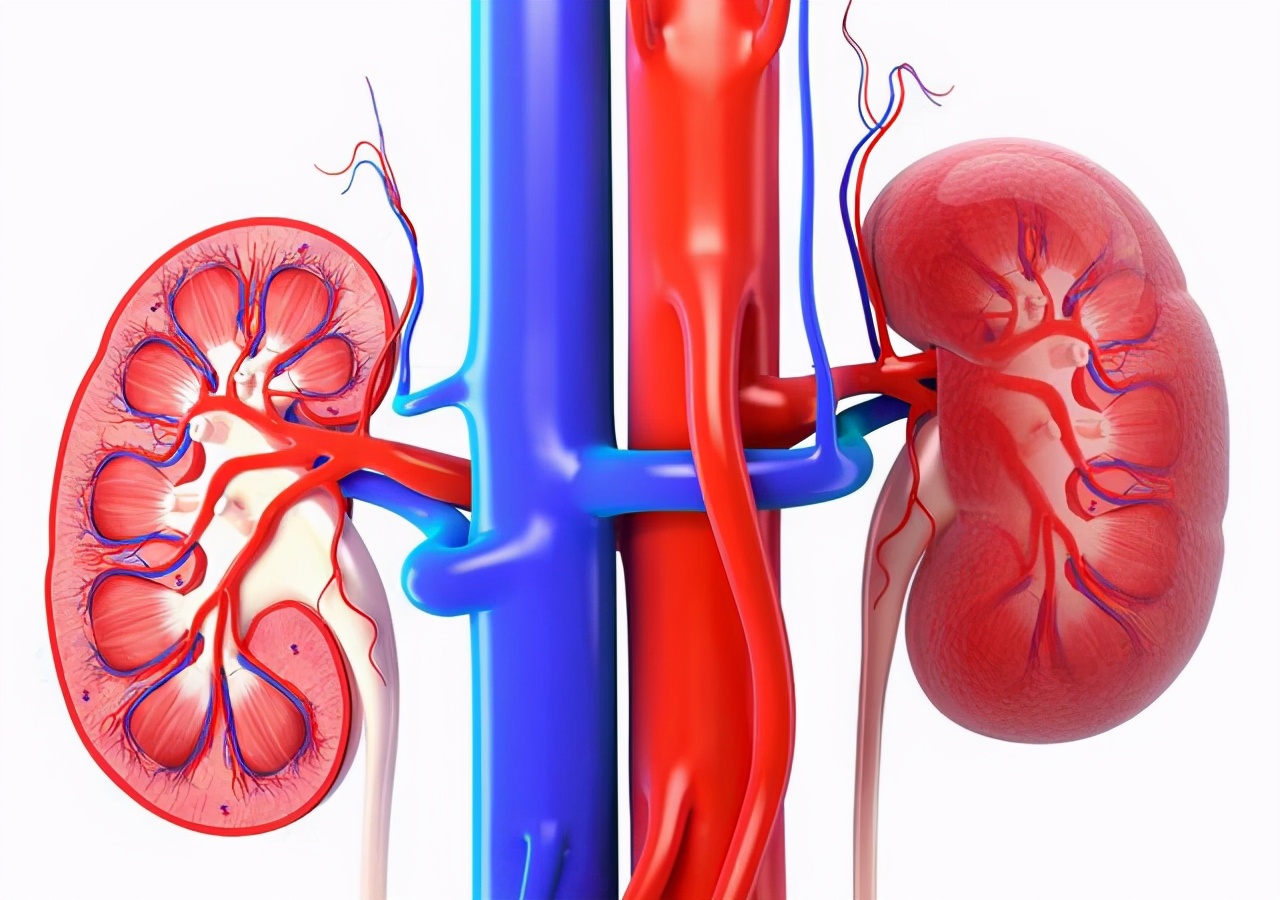 27岁肾功能不全肌酐高,男性肌酐108是肾功能不全吗