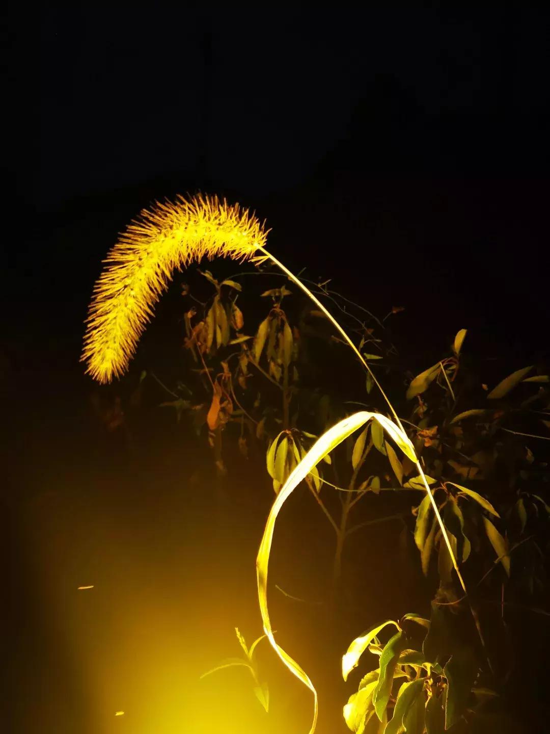 云雾山最近的路线,云雾山二日游