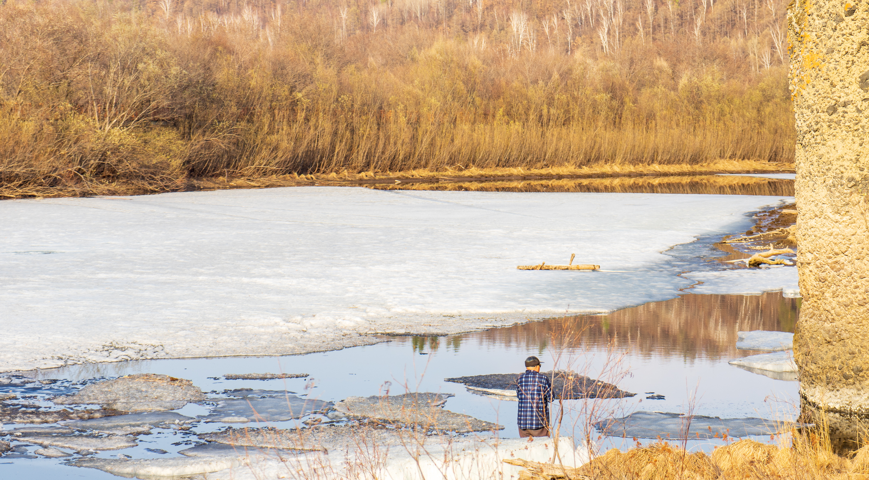 大自然的馈赠满山遍野的花,大自然的馈赠深山老林