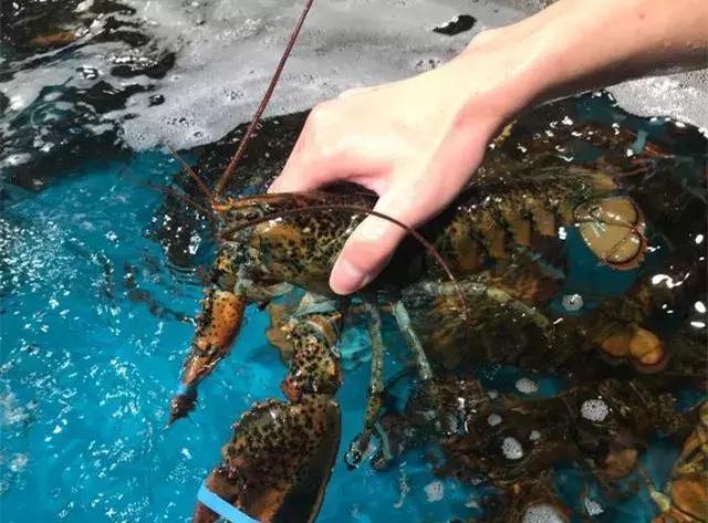 茶行业如何破局,新零售茶行业如何应用