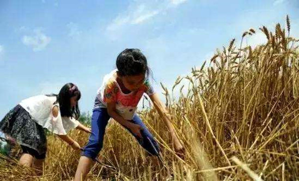 乡土散文：那些年，我是一个民师