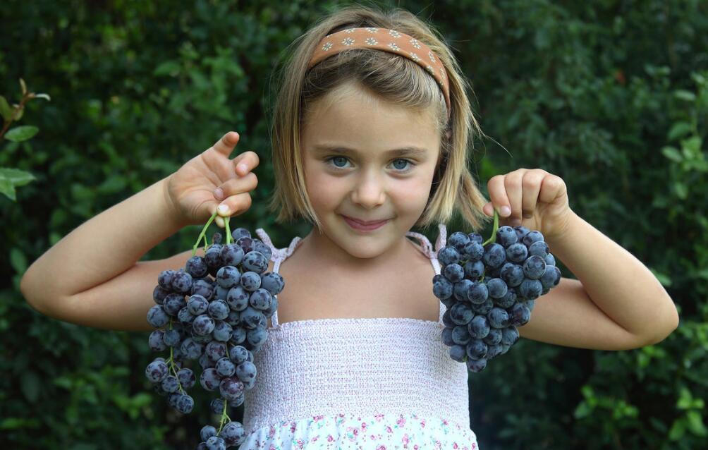 多囊怀葡萄胎的几率,葡萄胎后一直怀不上