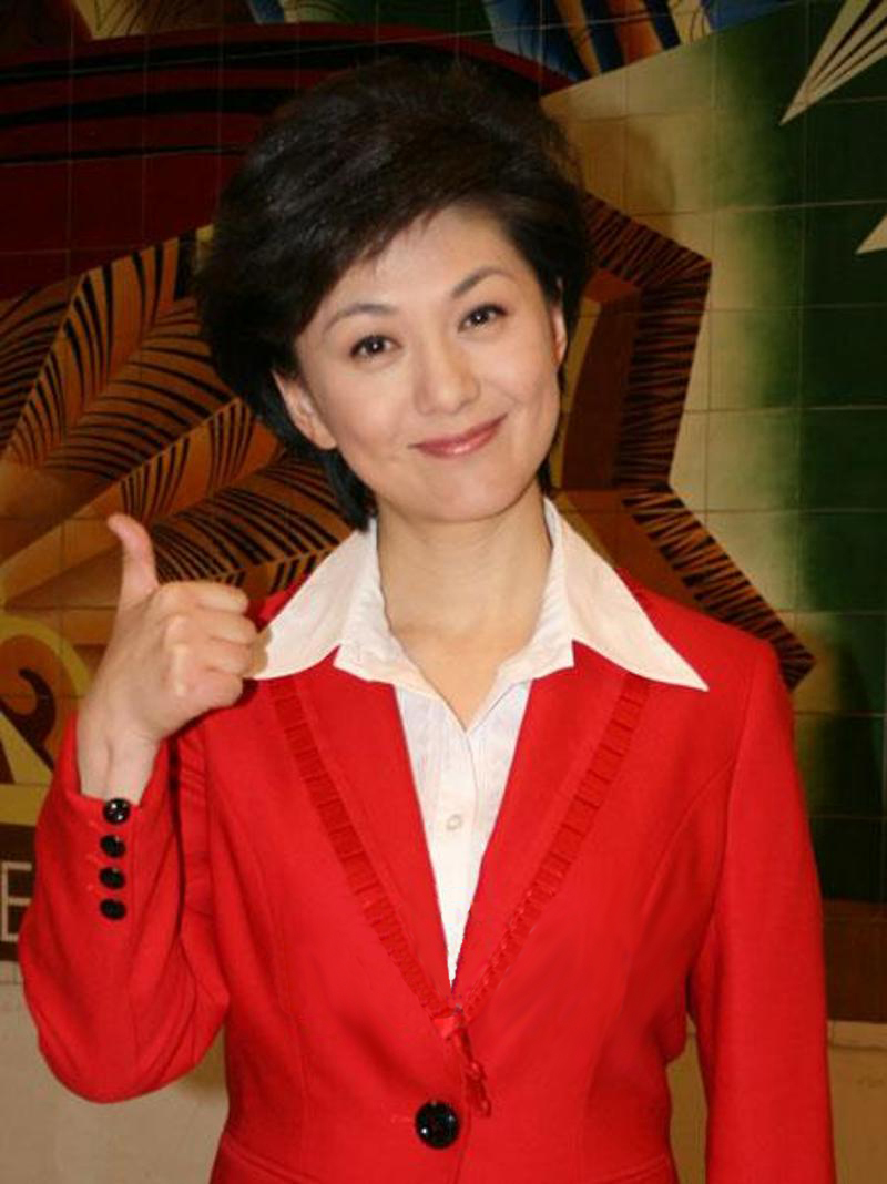 中国美女主播海霞,央视十大美女主播海霞辣评