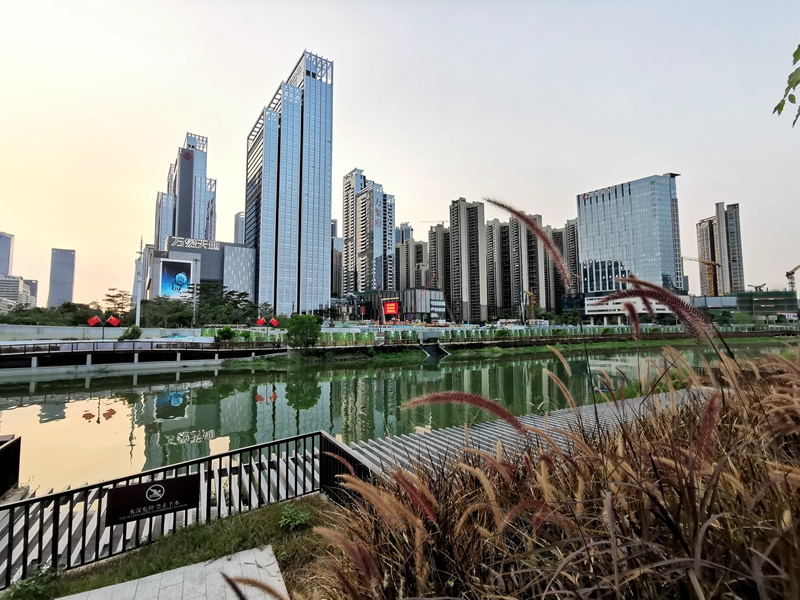 30天实拍深圳经济实力第一区，看看深圳南山区颜值怎么样？