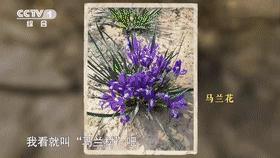 邓稼先离世前对妻子说的话,邓稼先离世前视频