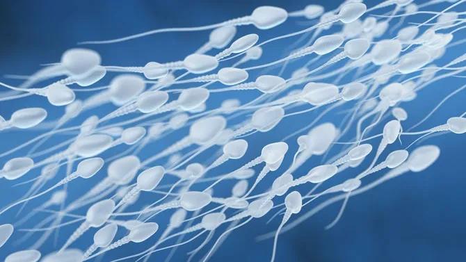 怎么测精子中有没有新冠病毒,精子能预防新冠病毒吗