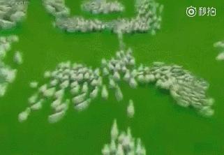 不瞒你说，我是看这些广告长大的