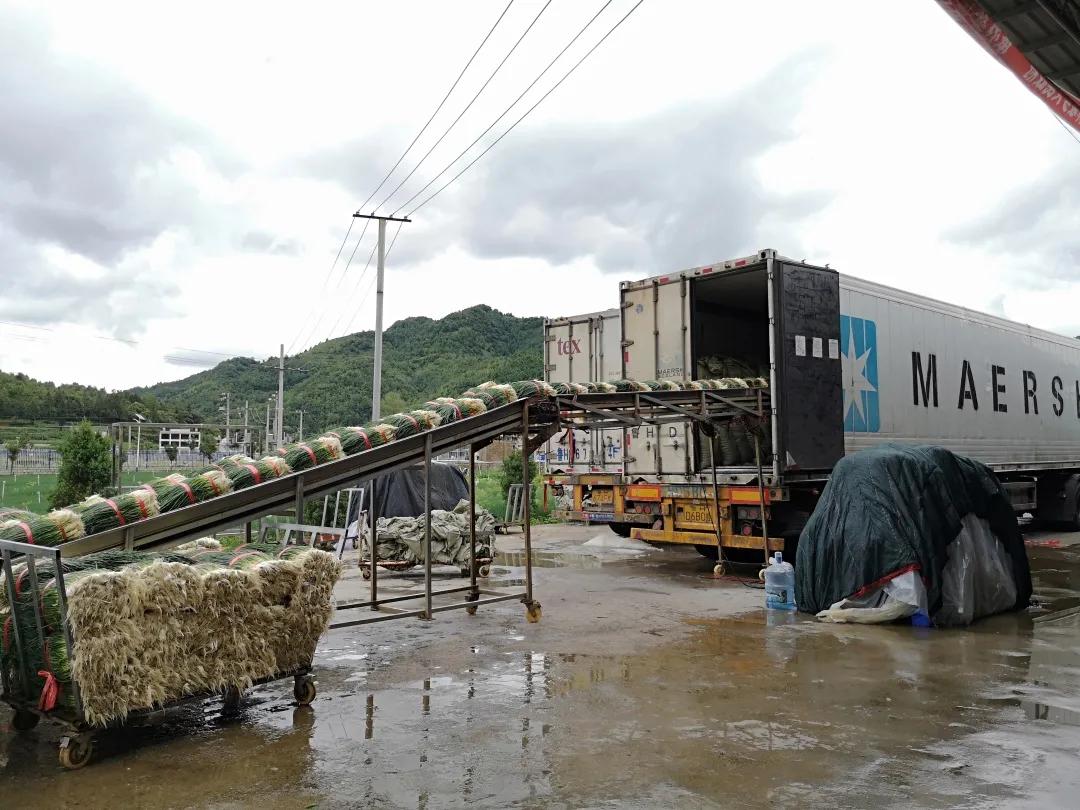 贵州商务厅杨健,贵州商务厅人事名单杨健