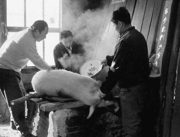 那些属于90后的童年记忆,盘点那些令人怀念的童年记忆