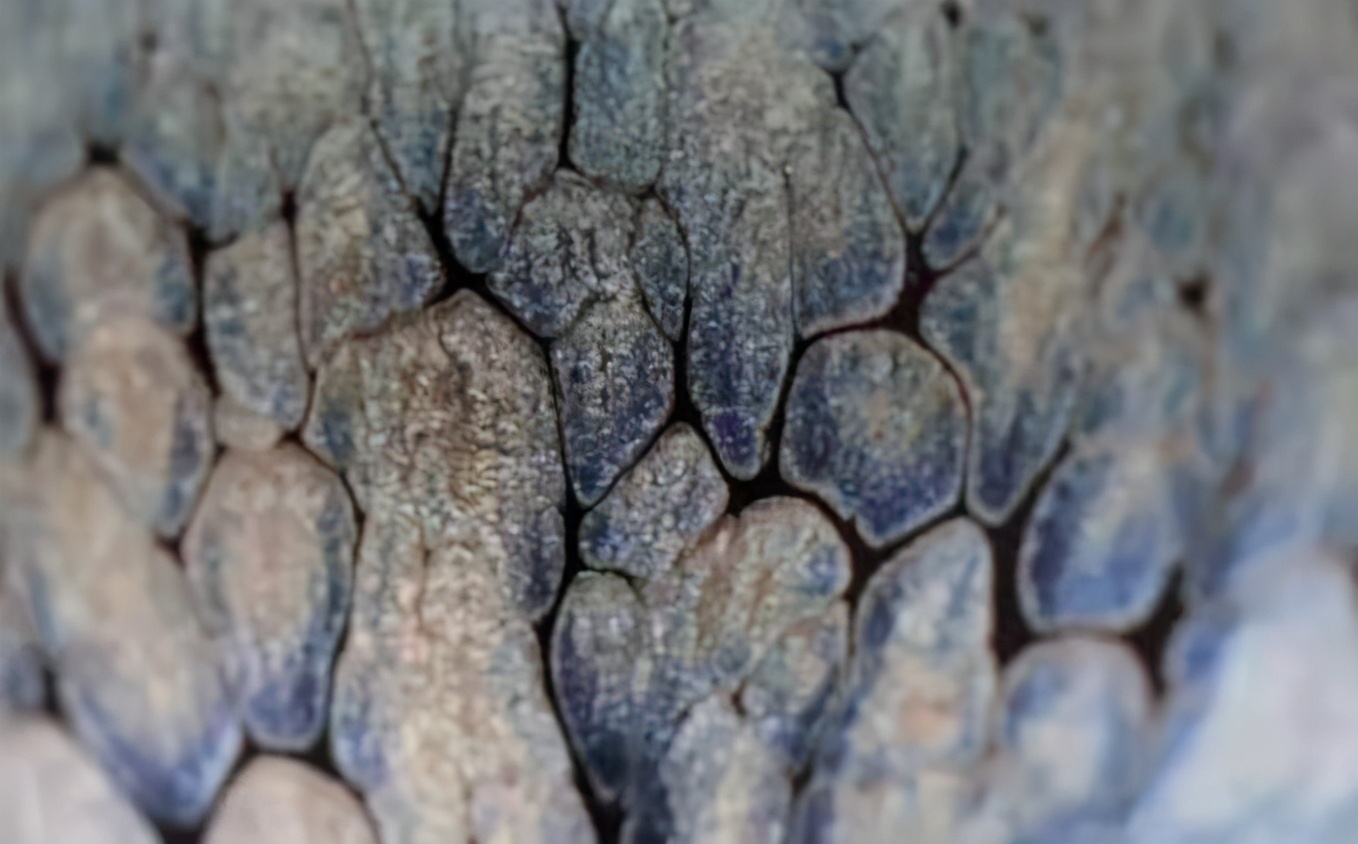 建盏开盏用茶水煮颜色变黑了,为什么用建盏喝茶不保温