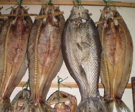 孕妇吃鱼多对胎儿有影响吗,孕期吃鱼对胎儿有什么影响