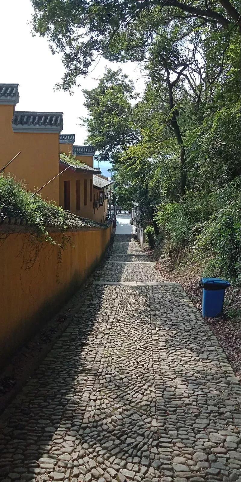 宁海普南禅院联系电话,普南禅院是不是正在修缮