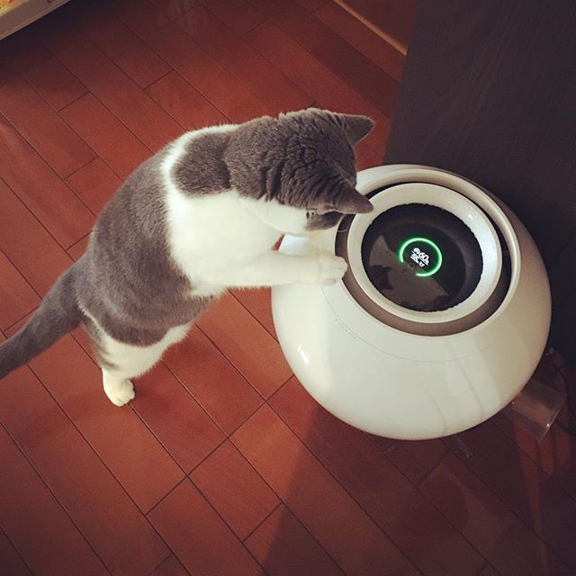 巴慕达rain加湿器,巴慕达Rain加湿器功能讲解