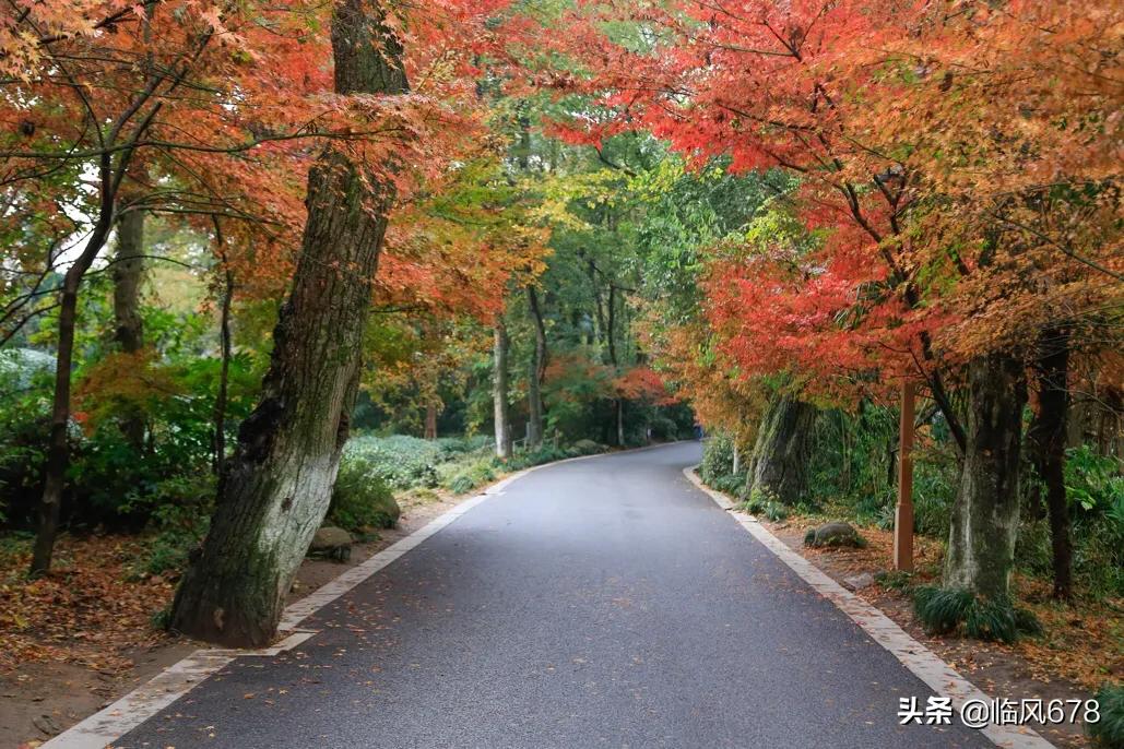6月份的杭州九溪好看吗,这个季节杭州去哪里玩