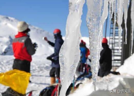 新西兰的特产牛奶介绍,新西兰十大著名特产