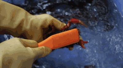 千人涌入二桥头狂欢！苦等365天，随州这个撸虾圣地一夜爆店！