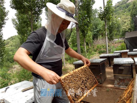 张纪文导演,张纪文公示