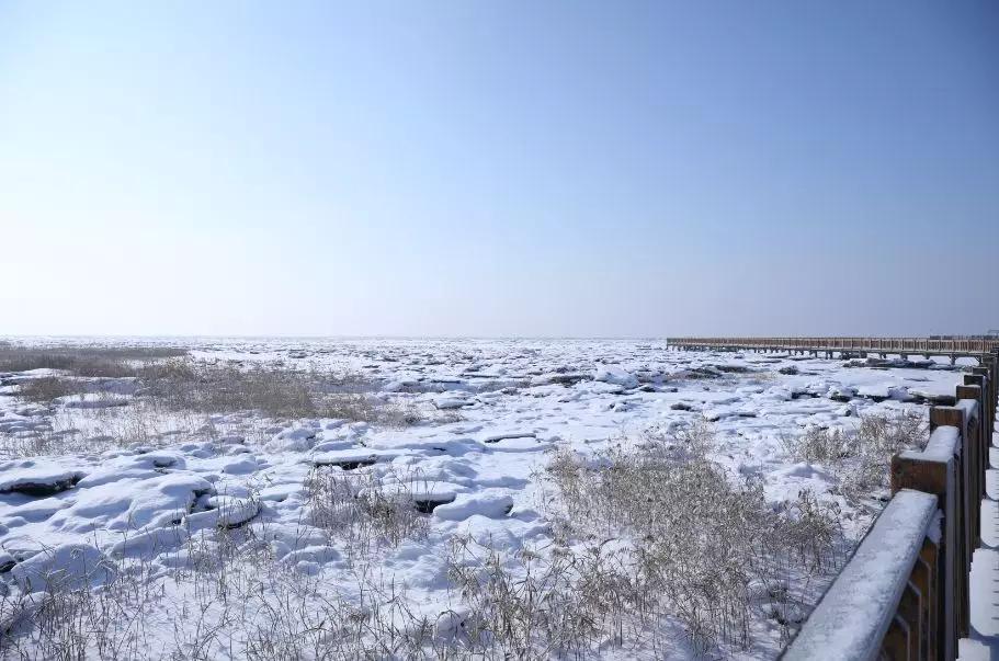 下雪后的海边图片大全,六月份的红海滩