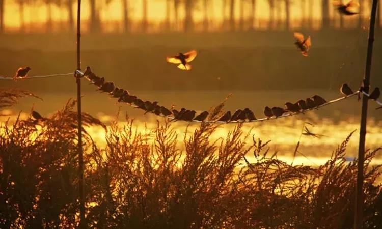 一个摄影师的作品合集,如何拍古建筑摄影出高级感
