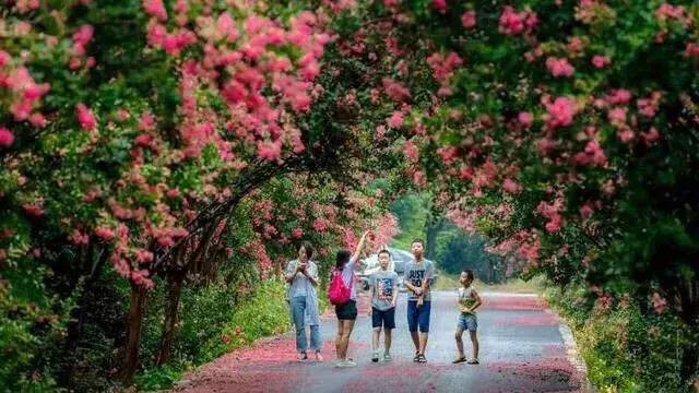 温江星河world项目重点,温江金马正在规划的重点项目