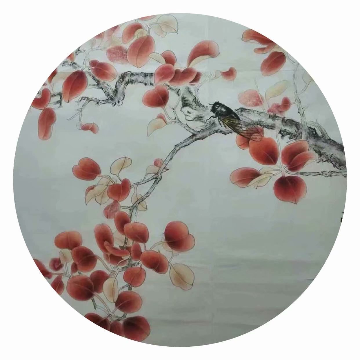 未来如何实现财富自由,普通人未来获取财富的方法