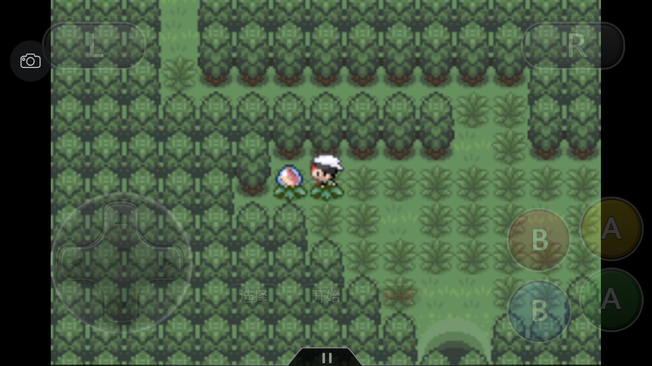 究极绿宝石5.3如何才算完成一周目,口袋妖怪之究极绿宝石5攻略