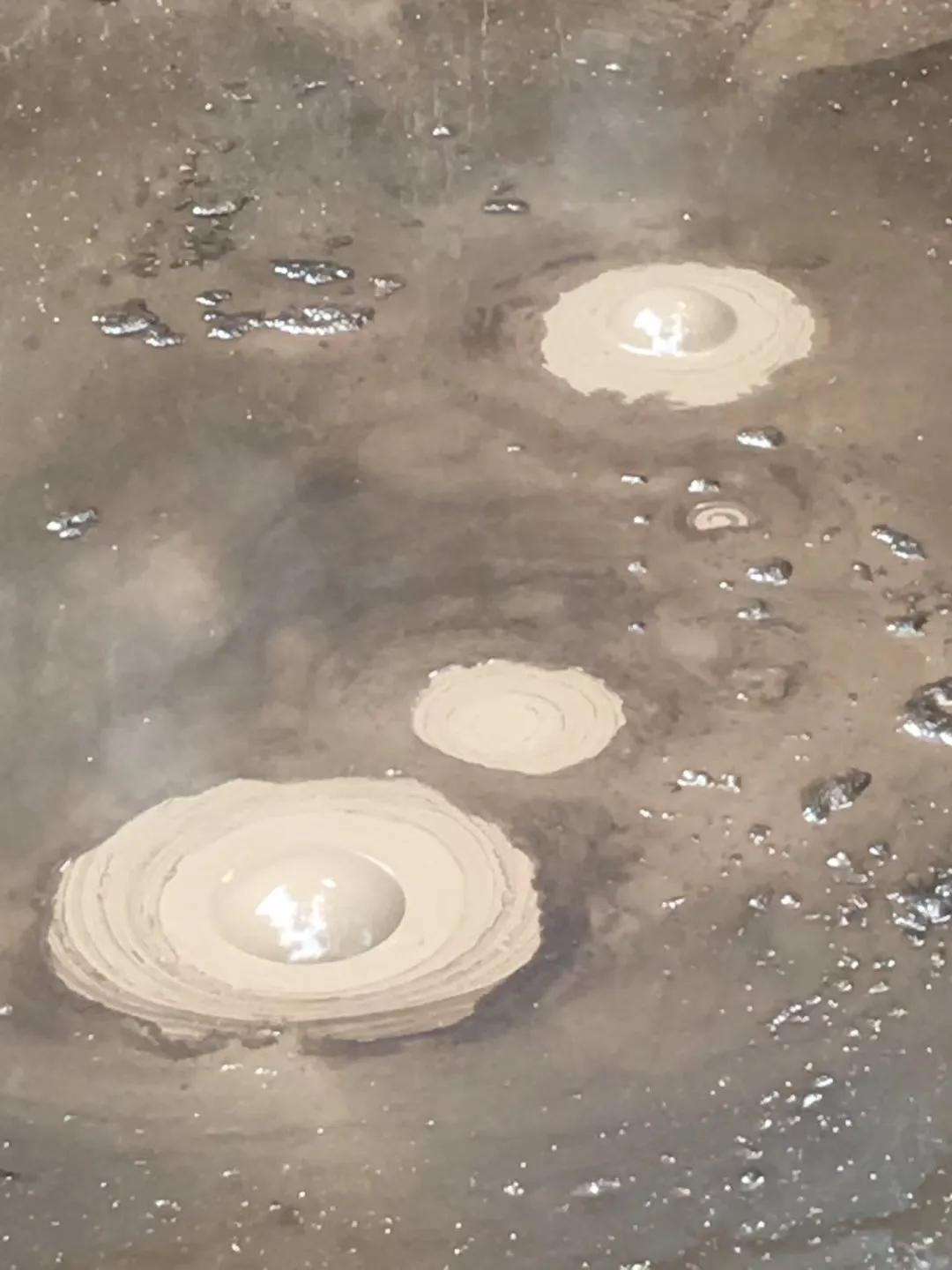 记忆中的旅行之新西兰(北岛)