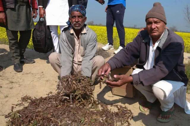 领土超164万平方公里，伊朗一旦加入中国上合，对中俄有何帮助？