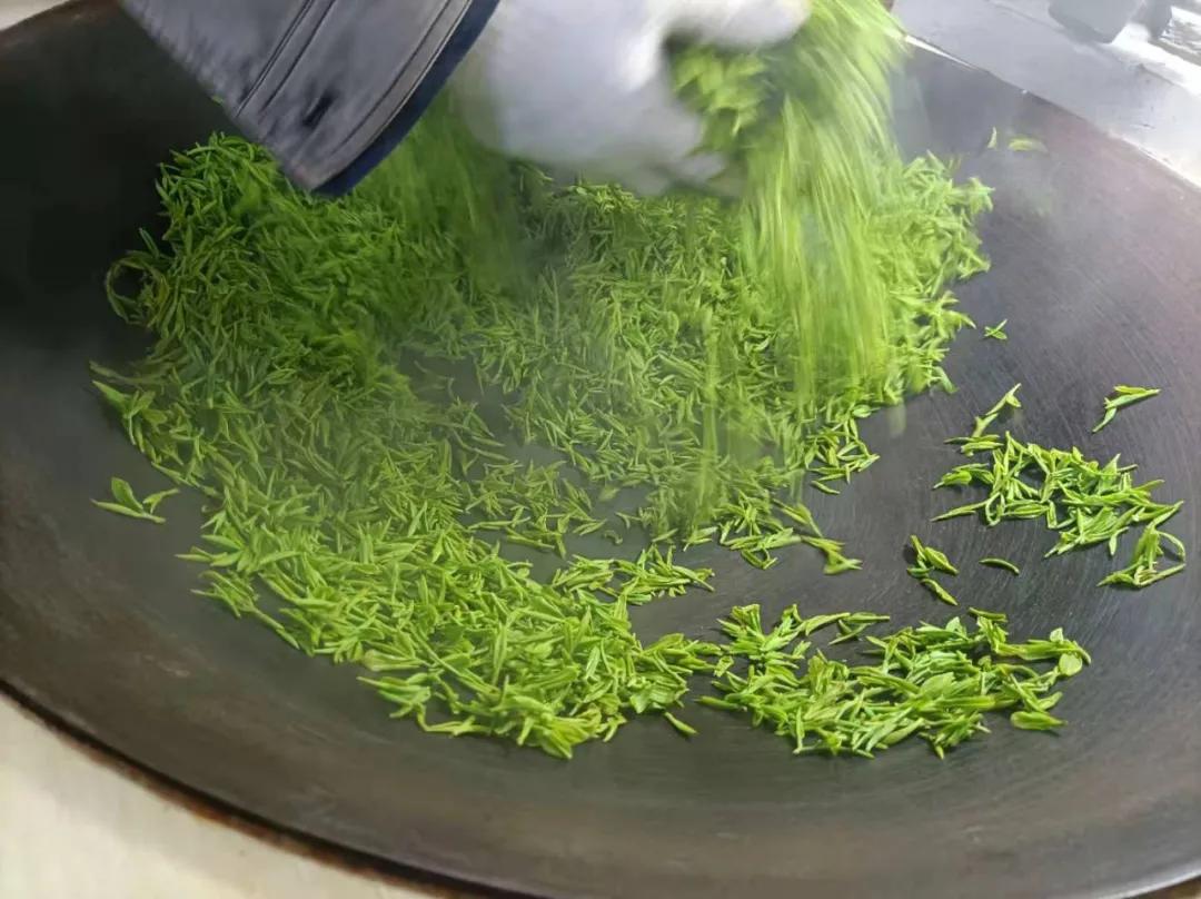 苏州东山碧螺春品尝,高端苏州洞庭山碧螺春