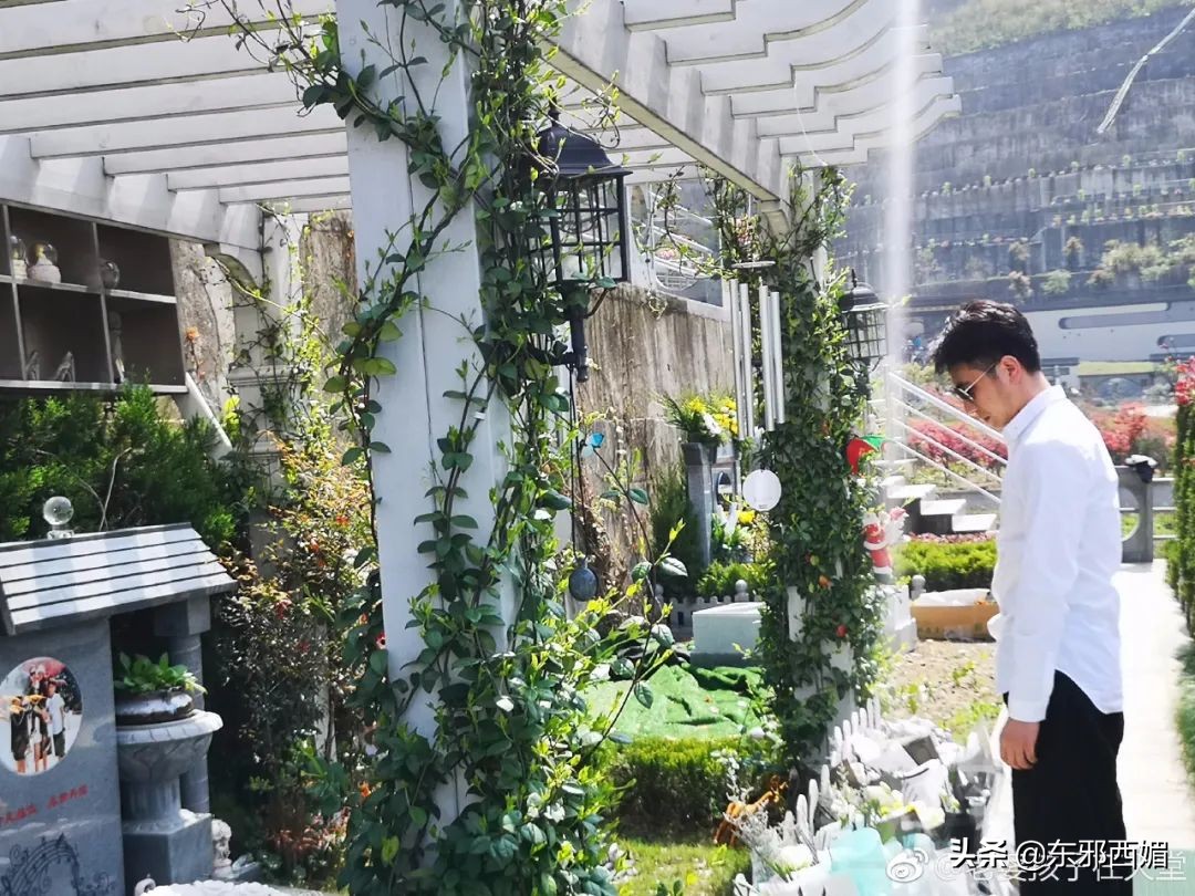 500字作文我真聪明,五篇小作文