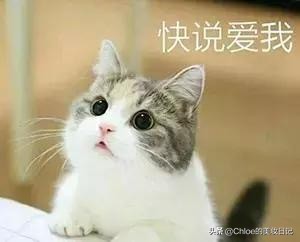 20款大牌精华,100多左右的好用美白精华