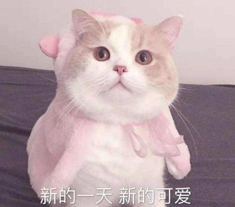 90后的你多少存款,90后的你存款多少