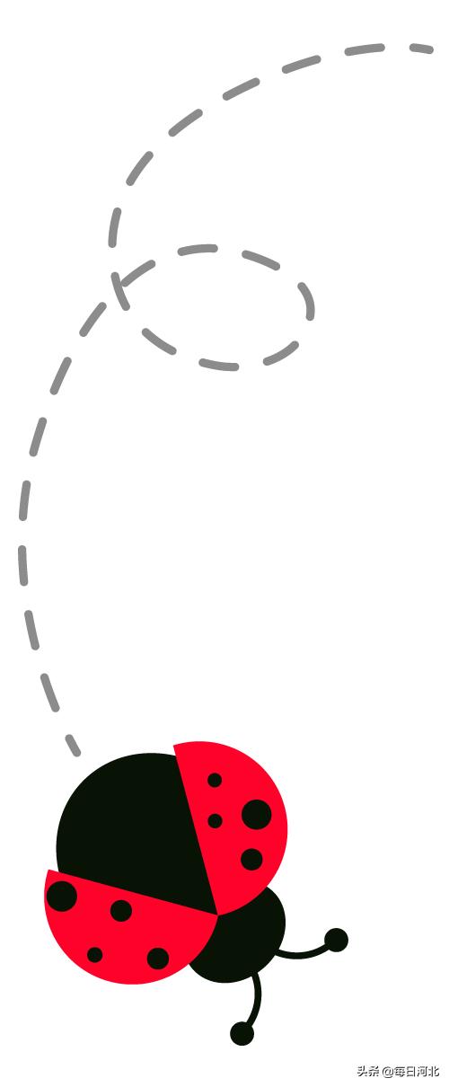 漫山花溪谷好玩吗值得去吗,夏天总要去一趟漫山花溪谷