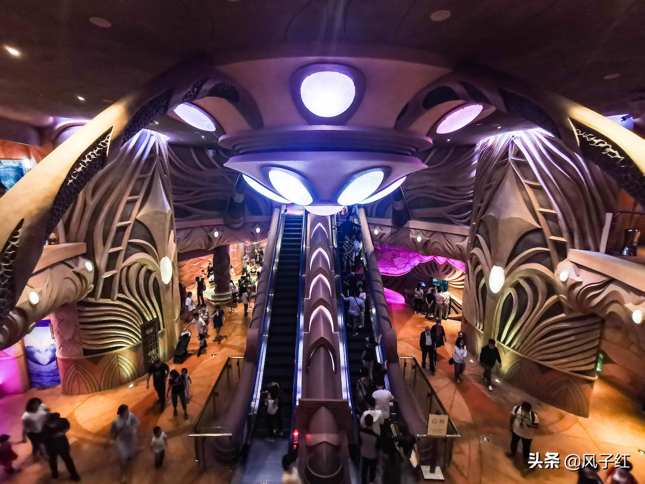 中国亚特兰蒂斯水族,海洋生物亚特兰蒂斯