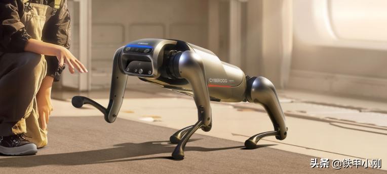 小米铁蛋波士顿动力,赛博铁蛋魔改