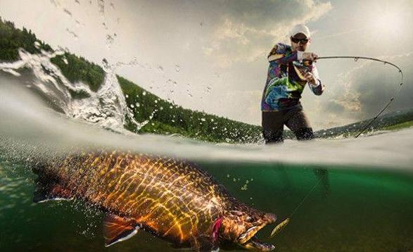 野钓口轻的原因和解决方法,野钓总是被小白条截口