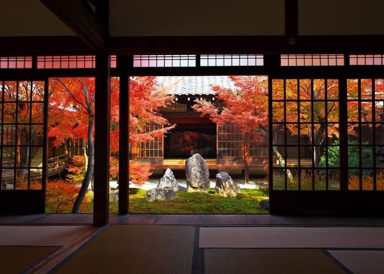 来一场去日本的旅行,充满生活气息的日本旅行