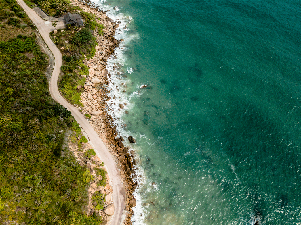海南必玩猴岛与呆呆丨看萌呆猕猴,呆呆岛发呆