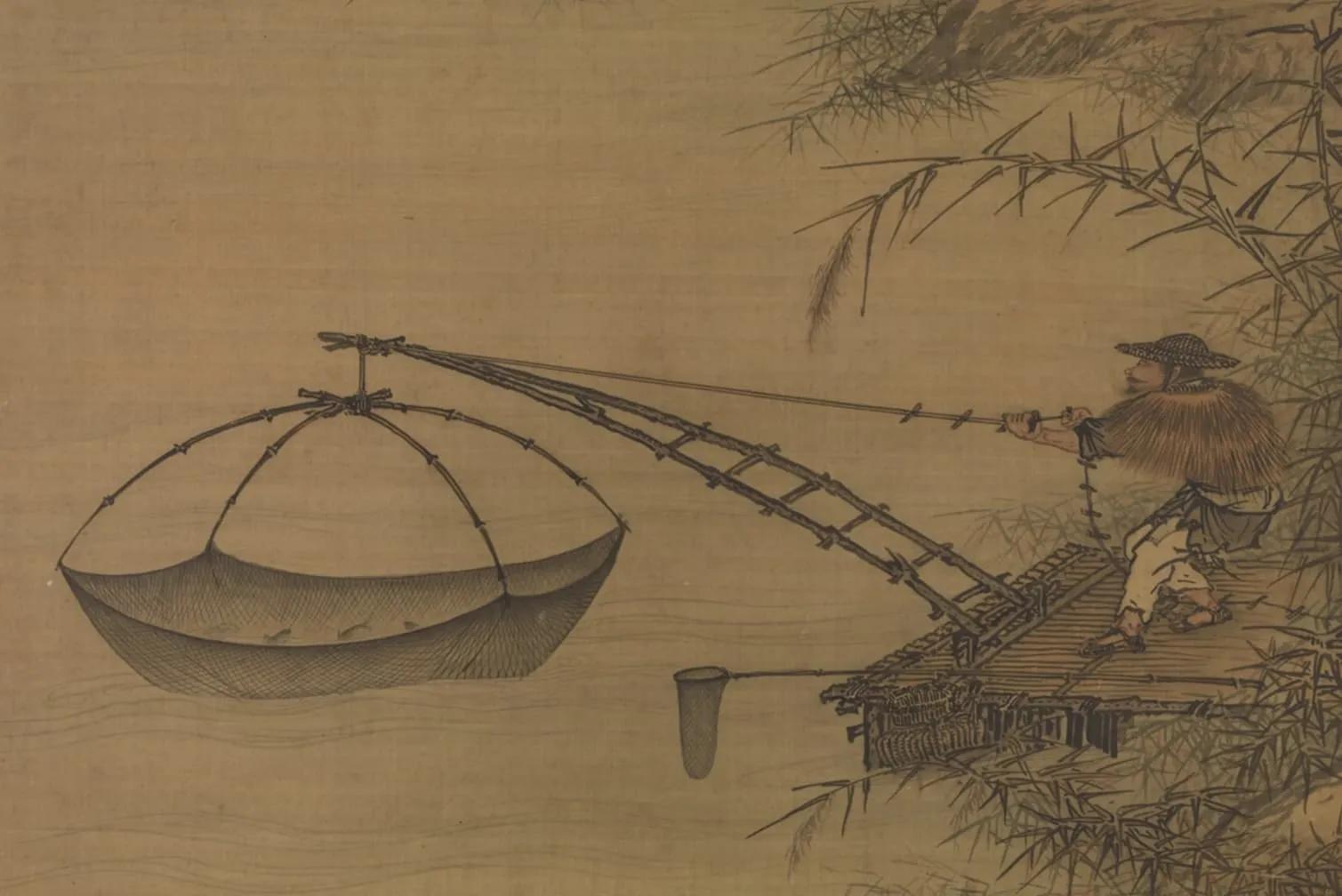 被禁养的观赏鱼,为什么中国被禁养的动物这么多