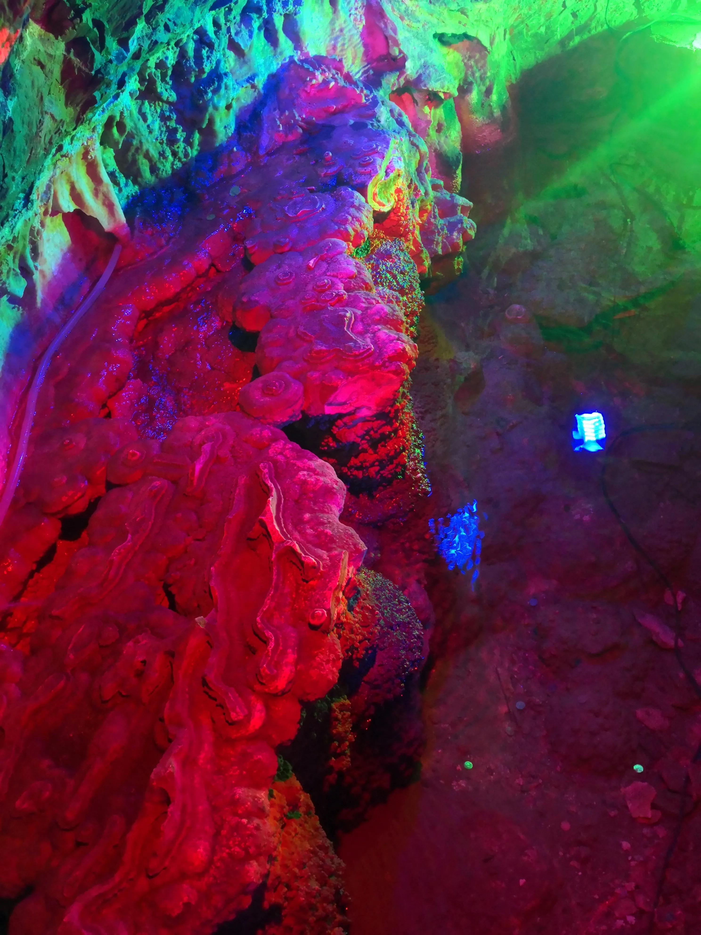 蔺相如故里景点简介,蔺相如邯郸景点