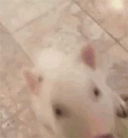 女性私密处健康,你需要知道的小秘密...