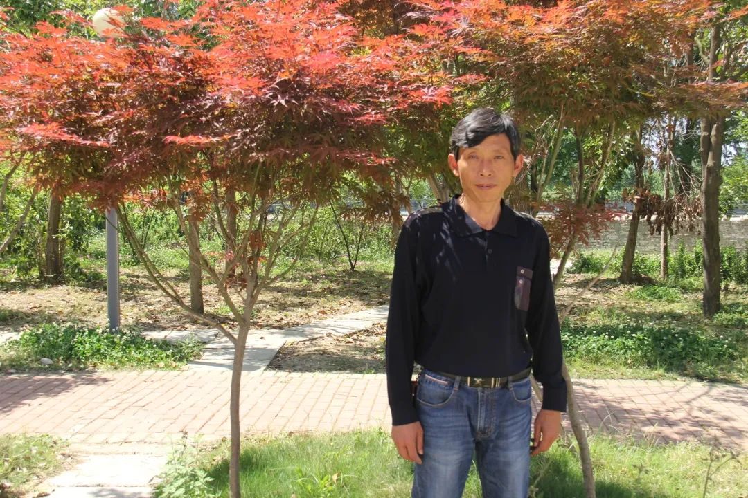 羊山外国语中学2024年招生时间,羊山外国语中学招生热线