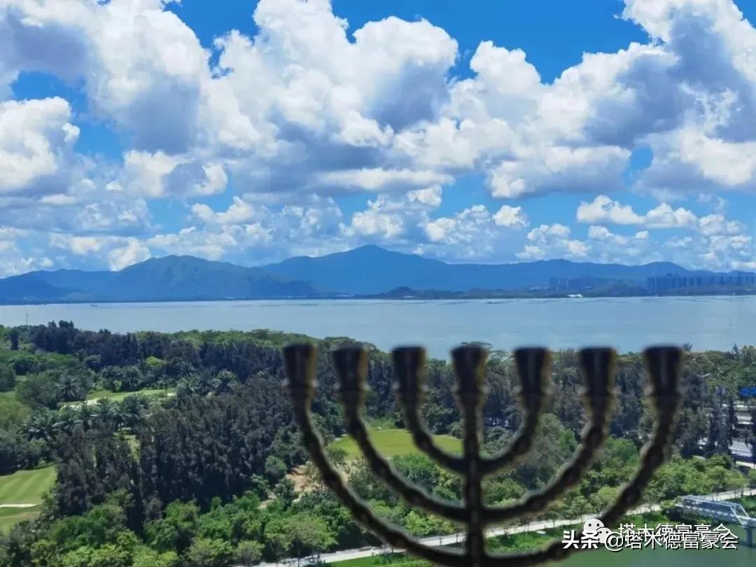 一堆富豪的买房心得：粤港澳大湾区的十大富人区（塔木德财智榜）